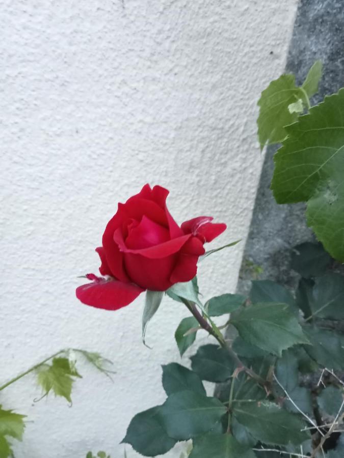 Ferienwohnung Refugio Intimista De Natureza E Paz A 30 Km De Lisboa. Gradil Exterior foto